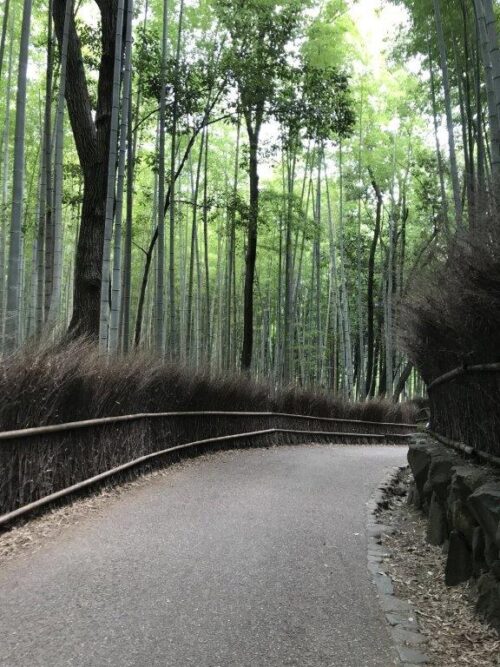 竹林の小径