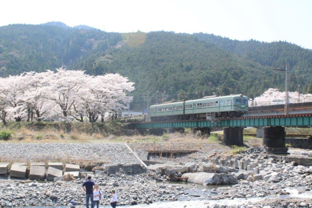 大井川鐵道撮影ポイント