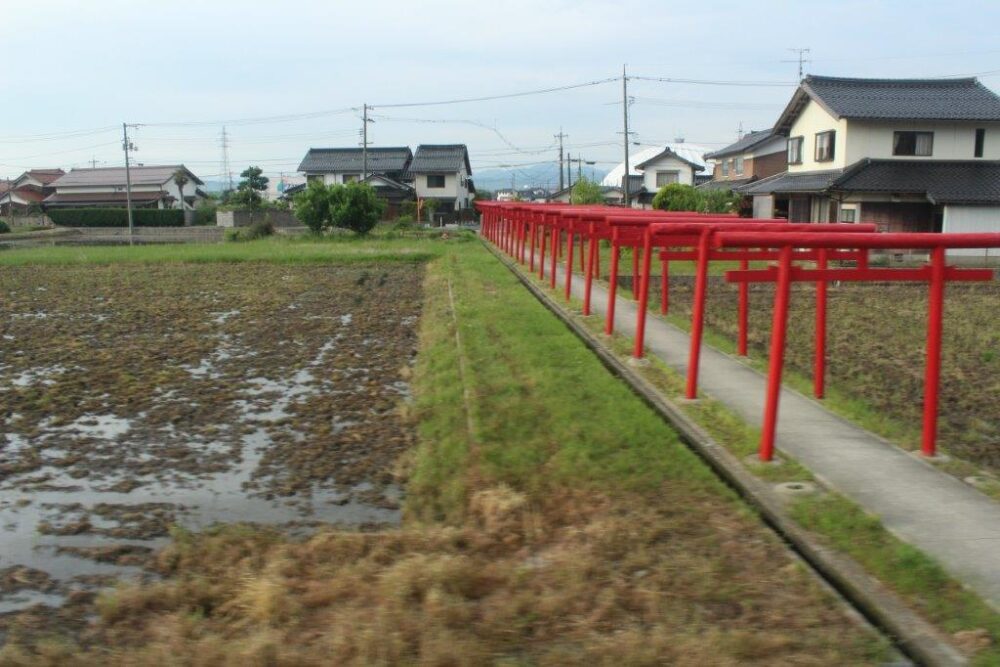 しまねの木
