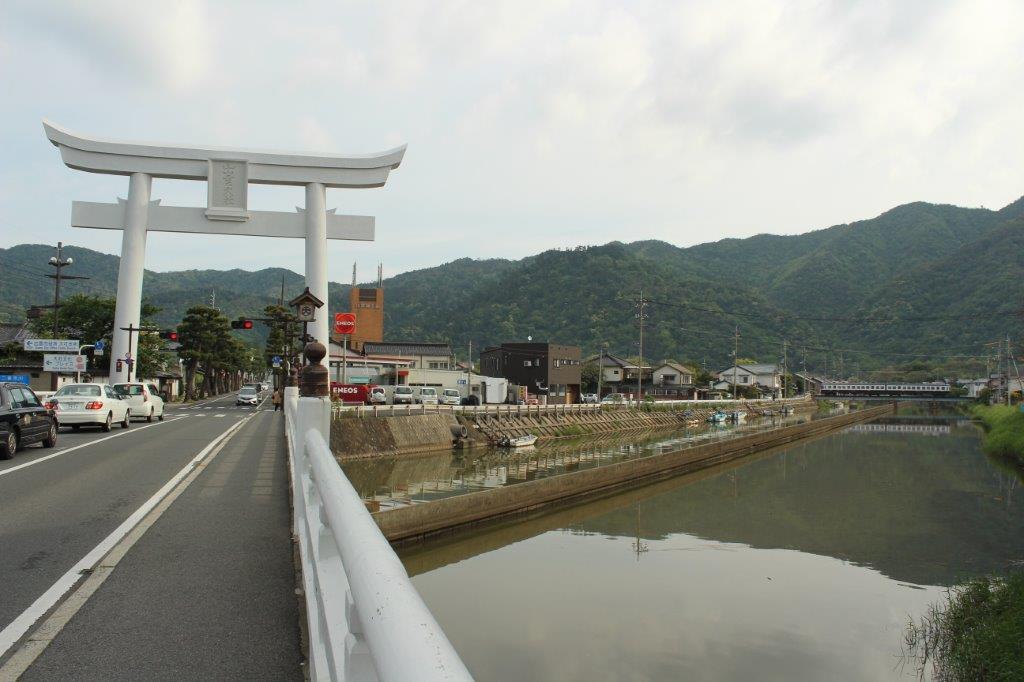 しまねの木